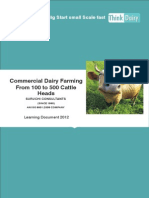 Commercial Dairy Farming: From 100 To 500 Cattle Heads