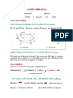 Clase 3 Carbohidratos