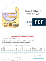 Expresion Genica y Sintesis de Proteinas (1)