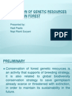 Conservation of Genetic Resources Tropical Rain Forest