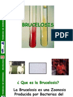Historia Natural de La Brucelosis