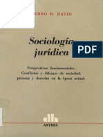 David Pedro R - Sociologia Juridica