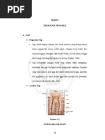 Download Bab II-1 Karies Gigi by Ajeng Retno Yunita SN231668821 doc pdf