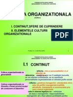 Curs 5 Cultura Organizationala