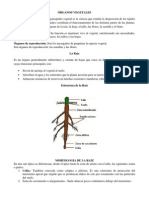 AGROTECNOLOGÍA