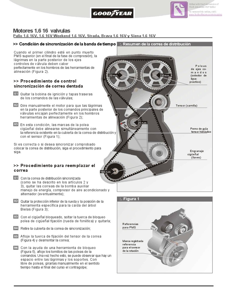 Puesta a punto Fiat Palio 1.6 16V | PDF | Herramientas | Engranaje