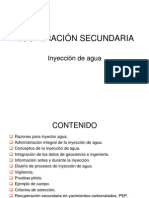 Recuperación Secundaria.pdf