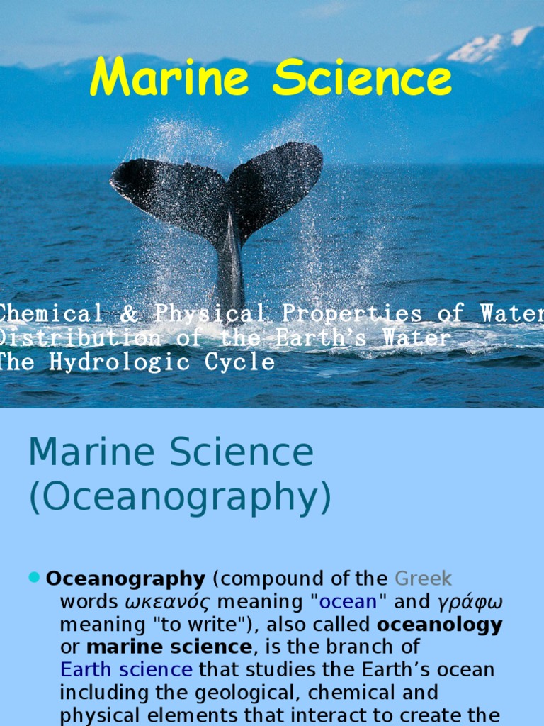 Understanding Oceanography Basics | PDF | Oceanography | Water Cycle