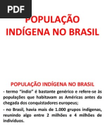 Povos Indígenas No Brasil