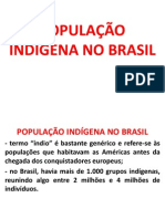 Povos Indígenas No Brasil