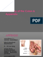 AnatomyColorectumAppendix2 11-3