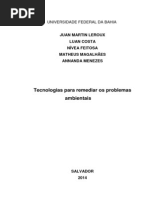 Artigo Oficial Reduzido