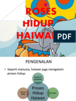 Proses Hidup Haiwan