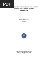 Download GambaranHistopatologiInsangOtotDanUsusPadaIkanLeleClariasSppBogorbyTomaruAndiSN231791412 doc pdf