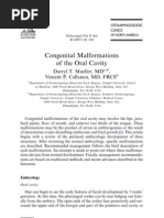 Congenital Malformations