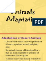 Animal Adaptation