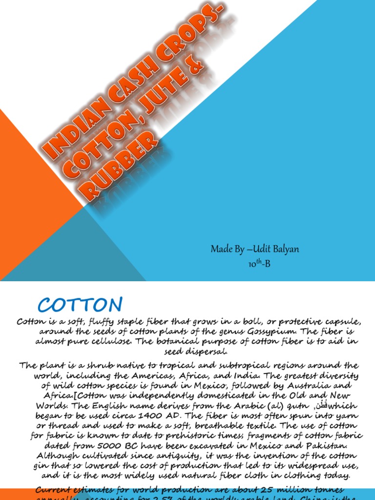 Indian Cash Crops Cotton Jute Rubber Pdf Jute Cotton