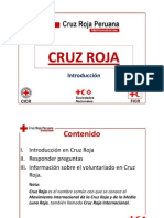 Introducción en Cruz Roja (ICR)