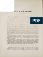 Medula espinal.pdf