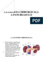 Pancreas curs SUUB