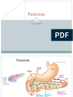 Anatomyof Pancreas