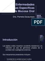 Enfermedades Infecciosas Específicas de La Mucosa Oral