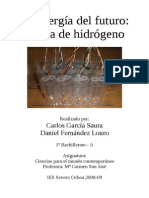 La Energia Del Futuro La Pila de Hidrogeno