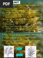 Download Morfologi Rumput Laut by Rachmat Wahyu Dwicahyo SN231858139 doc pdf