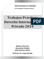 Practicoint Internacional Privado