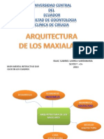 Arquitectura Maxilares Larrea