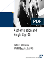 Authentication and SSO Overview - NW2004s