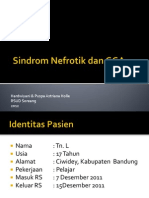 Sindrom Nefrotik Dan GGA