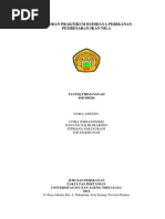 Download Laporan Praktikum Budidaya Perikanan Pembesaran Ikan Nila by Taufiq Firmansyah SN231893422 doc pdf