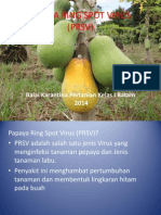 Papaya Ring Spot Virus 