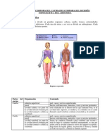 Regiones y Cavidades Del Cuerpo Humano 12p