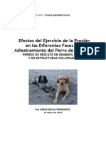 Efectos Del Ejercicio Presion Diferentes Fases Del Adiestramiento Del Perro Rescate