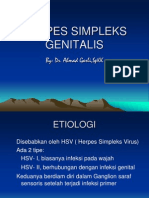 Herpes Simpleks Genitalis