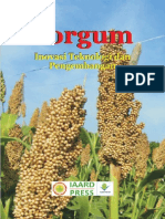 Download Sorgum by Febri Tie Yan SN231944890 doc pdf