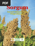 Download Sorgum by Febri Tie Yan SN231944890 doc pdf