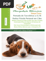 Tratamento Fístula Perianal (via Veterinário)