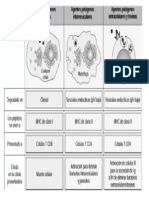 Lamina Antigenos y Cmh