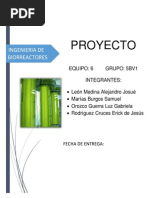 Proyecto Final