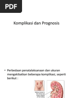 Komplikasi Dan Prognosis Batu Ginjal
