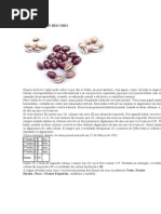 Descobrindo Seu Odú