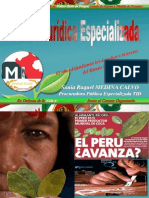 El Trabajo de La Procuraduría Antidrogas en Perú