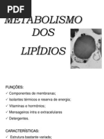 Metabolismo de Ácidos Graxos 2014