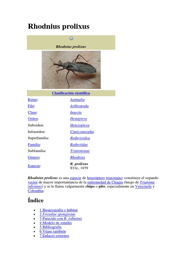 Rhodnius prolixus.docx