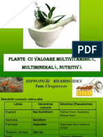 Curs Plante