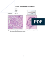 histologi