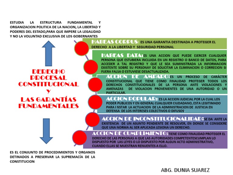 Mapa Mental Del Derecho Procesal Constitucional | PDF